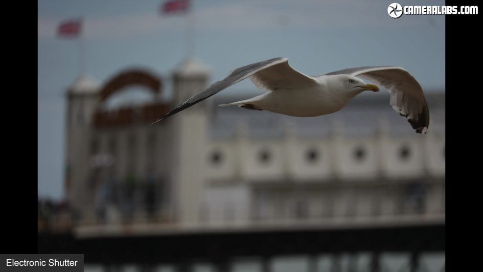 canon-eos-r6-review-46