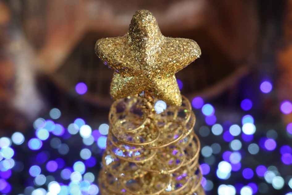 canon-powershot-v1-sample-image-IMG_1722