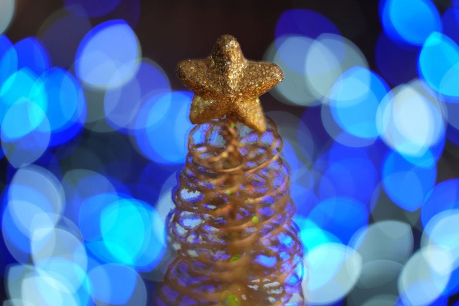 sony-fe-50-150mm-f2-gm-sample-image-DSC00029